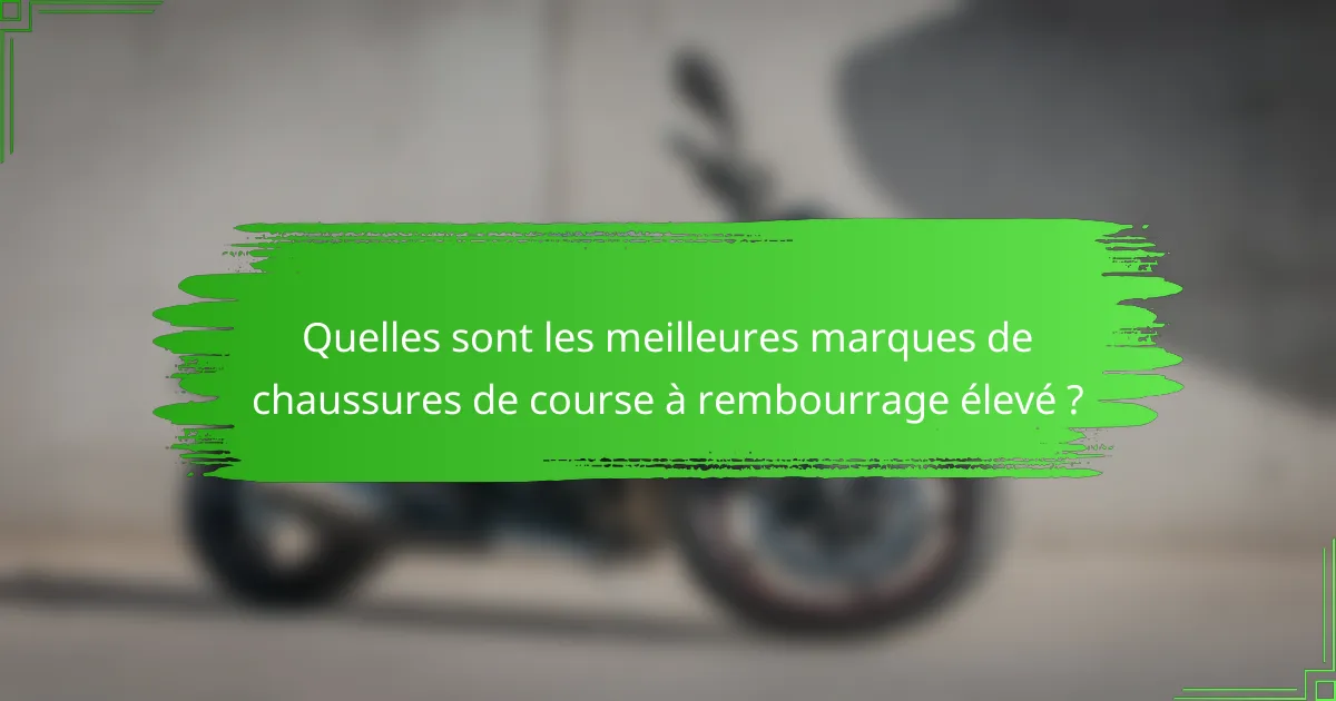 Quelles sont les meilleures marques de chaussures de course à rembourrage élevé ?