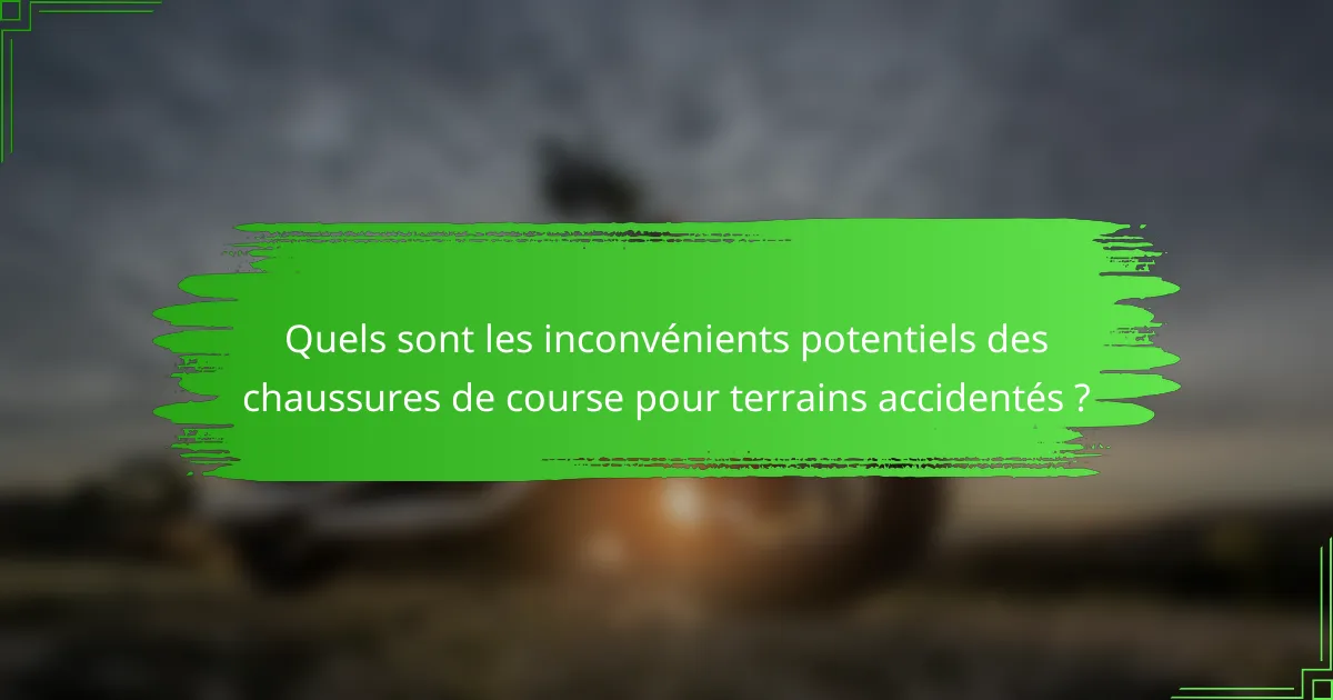 Quels sont les inconvénients potentiels des chaussures de course pour terrains accidentés ?